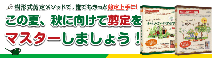 不要枝 立ち枝 の内容を動画でご紹介 パソコン用学習ソフト 玉崎弘志の剪定教室 基本編 より 庭木の剪定ドットコム ボサボサの庭木が甦る あなたも剪定をマスターしませんか