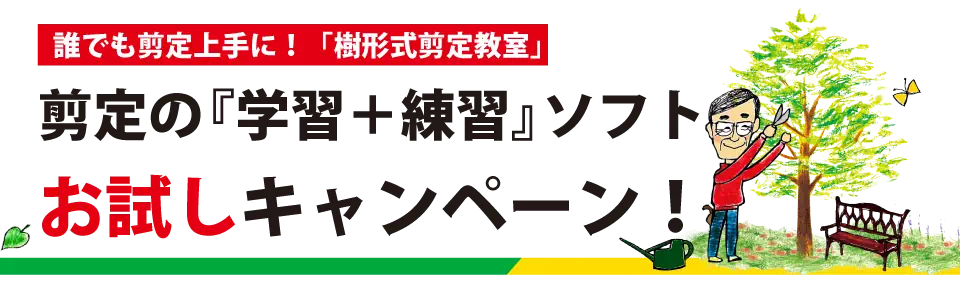 つつじ ツツジ さつき サツキ の剪定 ワンポイントアドバイス 庭木の剪定ドットコム ボサボサの庭木が甦る あなたも剪定をマスターしませんか